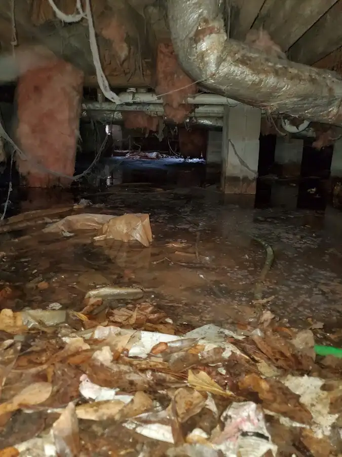 Crawl space flood assessment for Leak Detection & Repair in Westfield